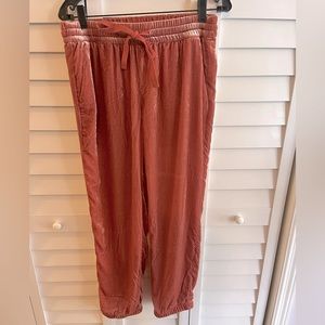 J.Crew velvet jogger pants